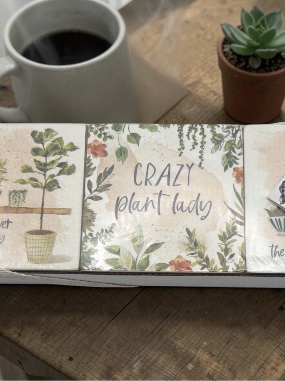 NWTS Set of 3 Plant Life Block Sign Set By Primitive By Kathy